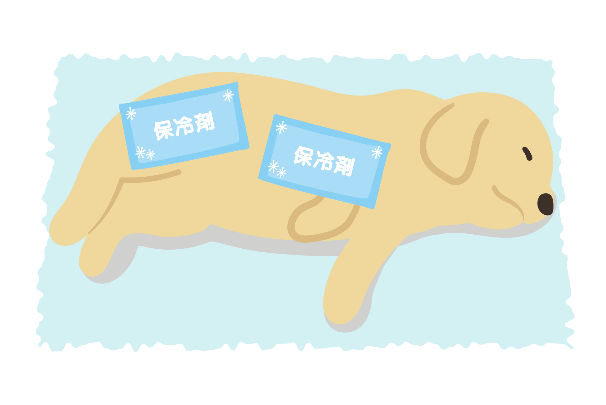 氷、保冷剤などで冷やしてあげるのイメージ画像